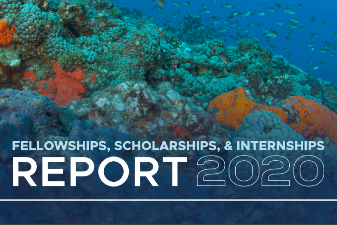 2020 Fellowships Report