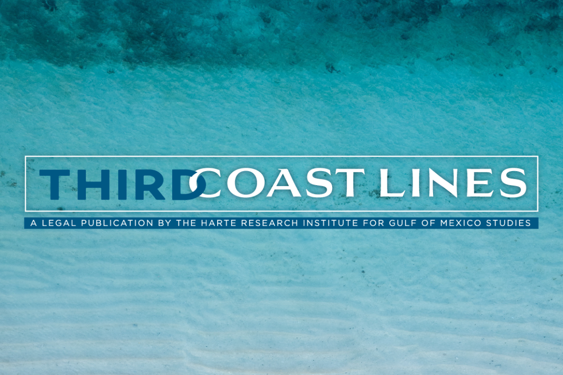 Third Coast Lines publication